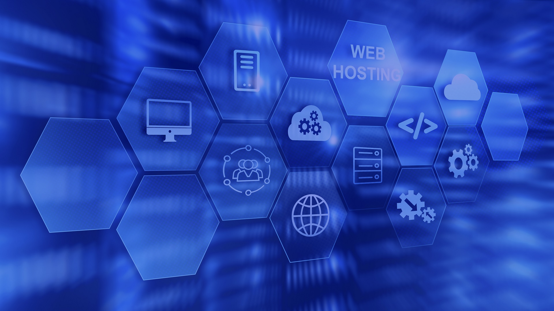 IT SERVICES / SOFTWARE